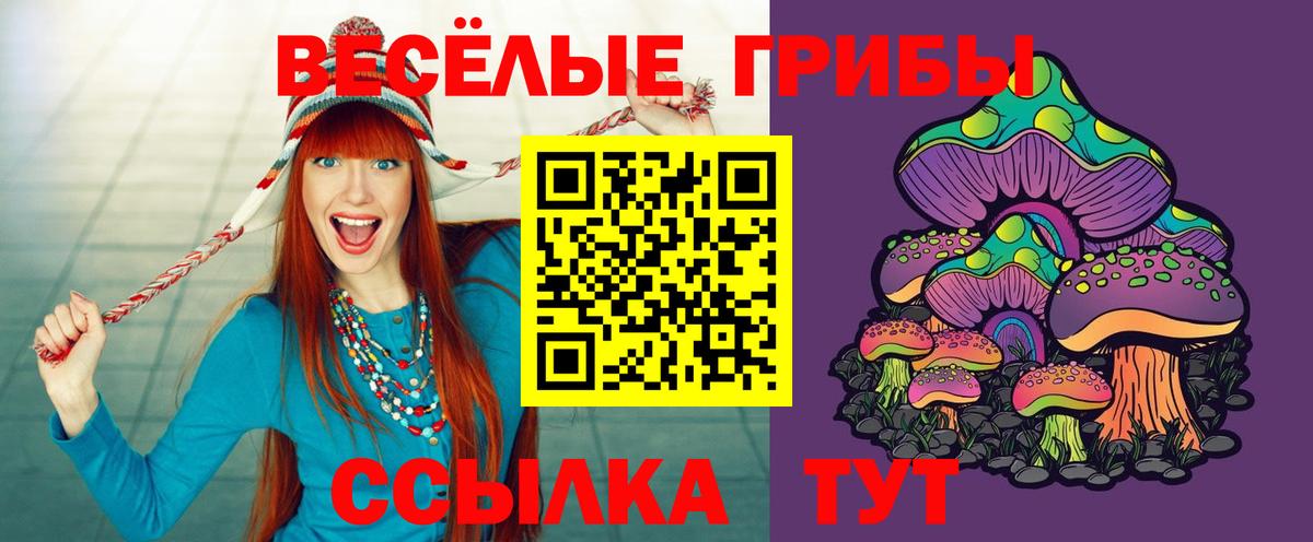 Псилоцибиновые грибы MAGIC MUSHROOMS  Псилоцибиновые грибы ЛСД  Вичуга  Вход с VPN 