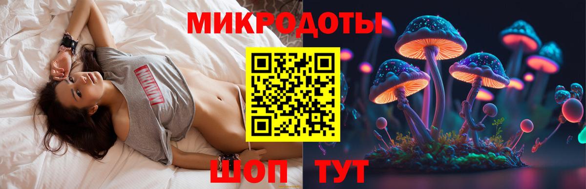 Галлюциногенные грибы Magic Shrooms Вичуга