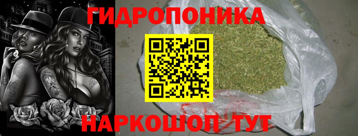 Шишки марихуана Bruce Banner  Конопля SATIVA & INDICA  Бошки марихуана тримм  Вичуга  Вход с VPN  МАРИХУАНА план 
